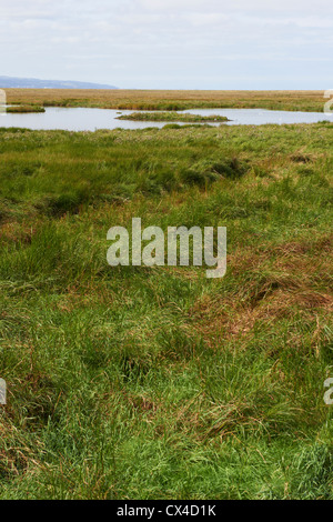 Blick über den Sumpf auf dem Fluss Dee Mündung Parkgate Wirral Cheshire UK Stockfoto