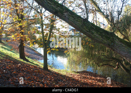 Herbstfärbung durch den Fluss Sid, Sidmouth, Devon UK Stockfoto