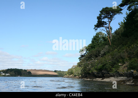 Landschaft vom Fluss Percuil in der Nähe von St Mawes Cornwall Stockfoto