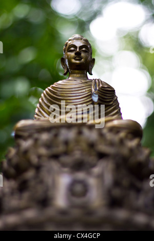 Buddha-Kopf im Wat Tempel Chiangmai Stockfoto