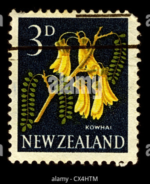 Neuseeland-ca. 1960:A Stempel gedruckt in Neuseeland zeigt Bild des Kowhai sind kleine, holzige Leguminosen Bäume der Gattung Sophora. Stockfoto