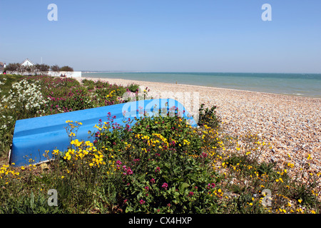 Der Strand von Pevensey Bay, East Sussex, England UK Stockfoto