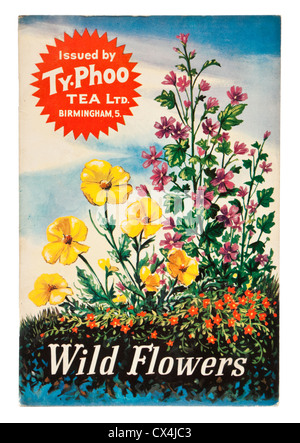 Vintage "Wildblumen" Ty-Phoo Tee Ltd Bildkarte Album Stockfoto