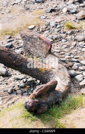 Egel einen alten rostigen Anker an einem britischen Strand. Stockfoto