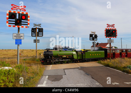 Romney Hythe und Dymchurch Licht Eisenbahn Zug auf der Kreuzung bei Greatstone Dungeness Kent UK GB Stockfoto