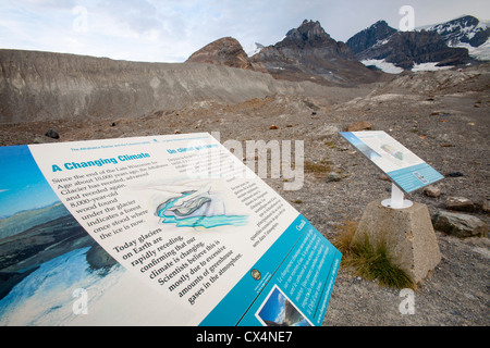 Der Athabasca-Gletscher ist extrem schnell zurück und verlor mehr als 60 % der seine Eismasse in weniger als 150 Jahren. Stockfoto