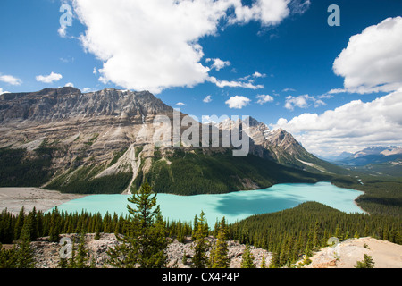 Peyto Lake in den kanadischen Rockies. Stockfoto