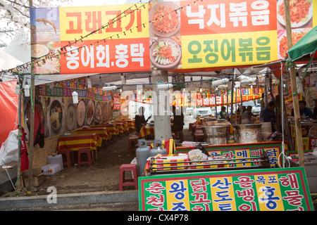 Ein traditionelles koreanisches Essen Stand auf einem Festival in Jinhae, Südkorea Stockfoto