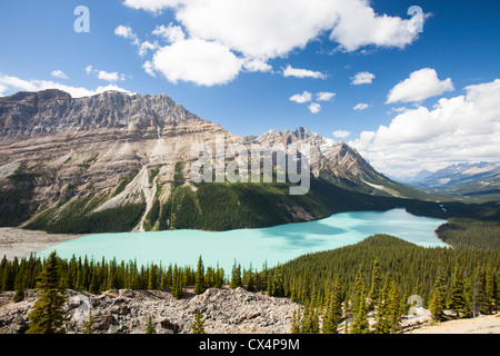 Peyto Lake in den kanadischen Rockies. Stockfoto