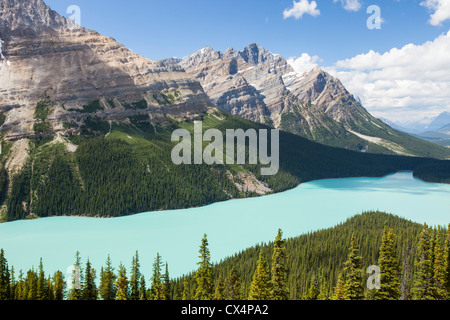 Peyto Lake in den kanadischen Rockies. Stockfoto