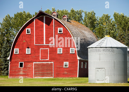 Ein traditionelles alle hölzerne Scheune auf einem Bauernhof in Alberta, Kanada. Stockfoto