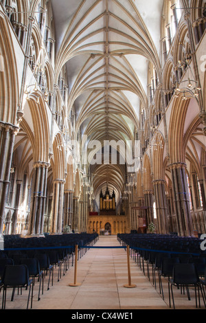 Das Hauptschiff der Kathedrale von Lincoln, Lincolnshire, UK Stockfoto