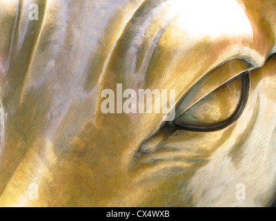 Auge des Bull, Bronzestatue, zuvor außerhalb der Börse, Wall Street, jetzt am Broadway hautnah. Stockfoto