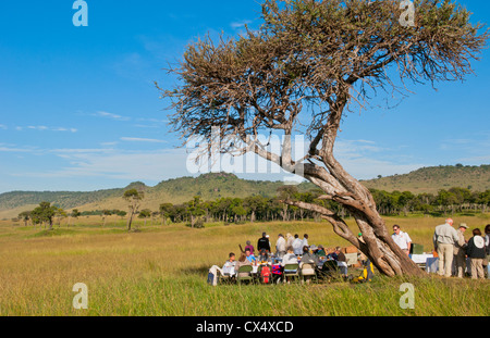 Kenia-Masai Mara Afrika Reserve Champagner Frühstück im Dschungel nach Heissluft Ballonfahrten über die Masai Mara Stockfoto