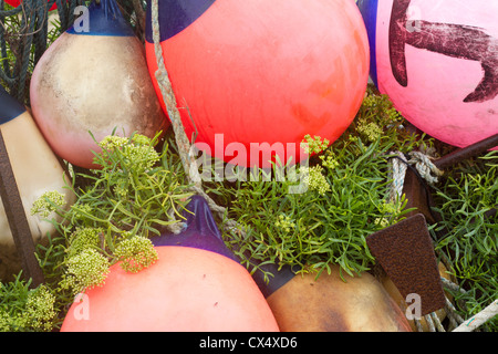 Bojen festmachen. Stockfoto