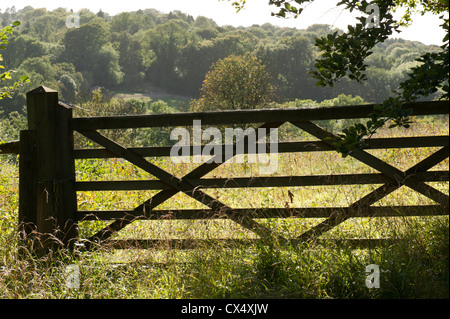 Blick auf fünf Balken Tor auf einer Wiese auf der Kreide Downland Chipstead Tal, Surrey, UK. Stockfoto