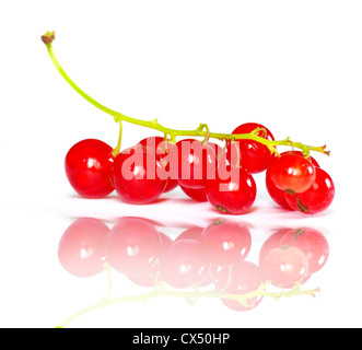 Rote Johannisbeere isoliert auf weißem Hintergrund Stockfoto