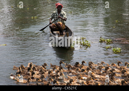 Fluss Szene aus einem Hausboot Tour auf die Kerala Backwaters, Malabar Coast, South West Indien Stockfoto