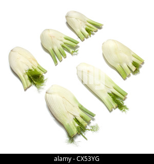 Fenchel, isoliert auf einem weißen Studio-Hintergrund. Stockfoto