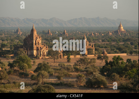 Blick bei Sonnenuntergang vom Pagode Shwe Hsan Daw (Shwesandaw), Bagan, Myanmar (Burma) Stockfoto