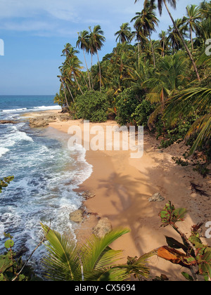 Kokosnuss Baum Schatten auf dem Sand von einem wilden Tropical Beach, Costa Rica, Mittelamerika Stockfoto