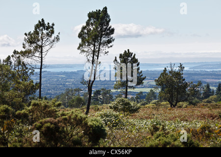 Blick von der Domaine de Ménez Meur in der Nähe von Monts d'Arrée, Hanvec, Finistère, Bretagne, Frankreich Stockfoto