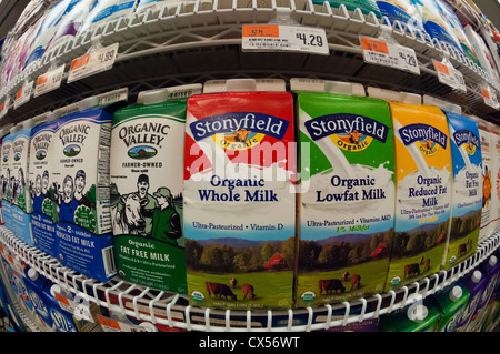 Container von Stonyfield Bio-Milch im Supermarkt Kühlschrank in New York Stockfoto