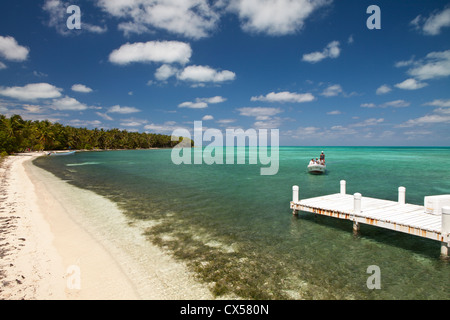 Dock im Half Moon Caye Naturdenkmal.  Mittelamerika, Belize. Stockfoto