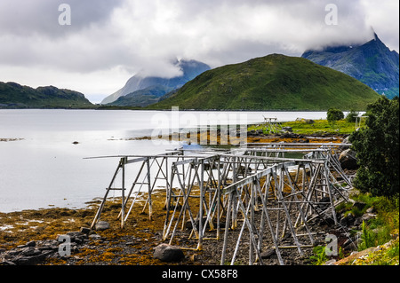 Norwegen, Lofoten. Die Holzkonstruktionen werden verwendet, um Fisch zu trocknen. Stockfoto