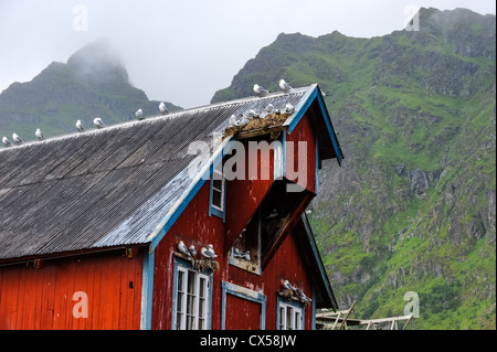 Norwegen, Lofoten. Å auf den Lofoten. Stockfoto
