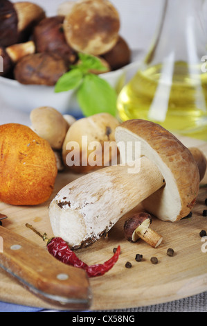 Einige Pilze auf Holzbrett, Gewürze, Öl und Messer Stockfoto