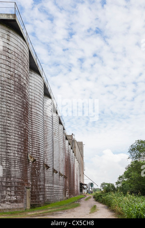 Reis-Lagersilos mit Getreidesilo im ländlichen Reis Trockner in South Louisiana Stockfoto