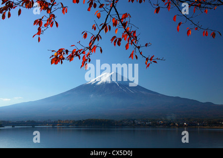 Blick auf Mount Fuji aus Lake Kawaguchi-Ko Japan Stockfoto