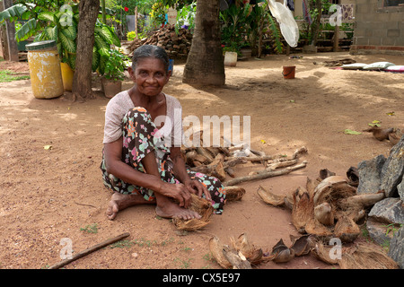 Alte Frau, die die Faser aus einer Kokosnussschale, Waikkal Dorf, Sri Lanka Stockfoto