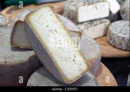 Italienische Käse auf dem Display in einen Lebensmittelmarkt. Rom, Italien Stockfoto