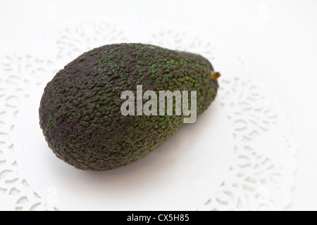 frische leckere Avocado Frucht auf weißem Hintergrund Stockfoto