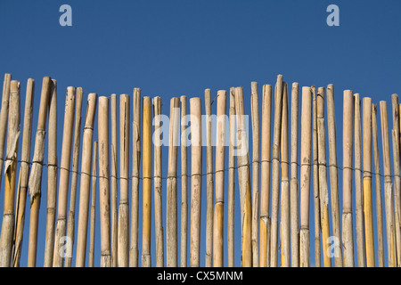 Rohrstock Zaun Textur über blauen Himmel Stockfoto