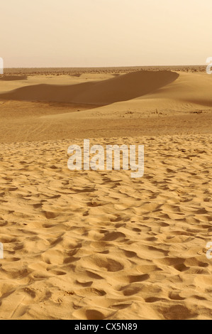 Panoramablick über Sanddünen in der Sahara Wüste von Tunesien Stockfoto