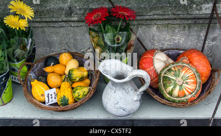 Fenster von Blumen und Kürbisse bei einem Floristen auf der Pulteney Bridge - Stadt Bath, Somerset Stockfoto