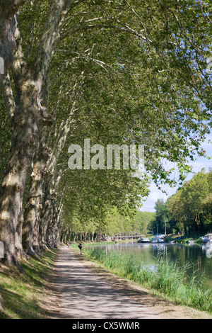 Canal Lateral a la Garonne (Canal du Midi) in der Nähe von Castets En Dorthe, Gironde, Frankreich Stockfoto