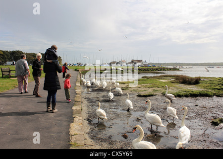 Mudeford Hafen, Christchurch Dorset England UK Stockfoto