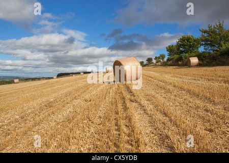 Eine Agrarlandschaft mit Rundballen in einer steil abfallenden Stoppelfeld hoch auf die Yorkshire Wolds unter einem dramatischen Himmel. Stockfoto