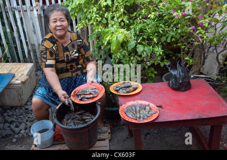 Eine Frau verkauft Tintenfische auf dem lokalen Markt in Tanawangko, Nord-Sulawesi. Stockfoto