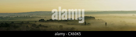 Nebligen Sonnenaufgang über Bury Hill, West Sussex Stockfoto