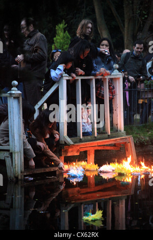 Start Krathongs an Loy Krathong Festival, Wat Buddhapadipa Tempel Wimbledon, London Stockfoto