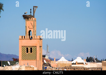 Storch Vogel auf einem Turm der Moschee in Marrakesch, Marokko Stockfoto