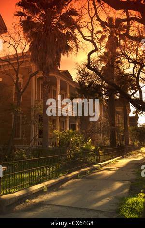 HÄUSER SEALY AVENUE GALVESTON ISLAND TEXAS USA Stockfoto