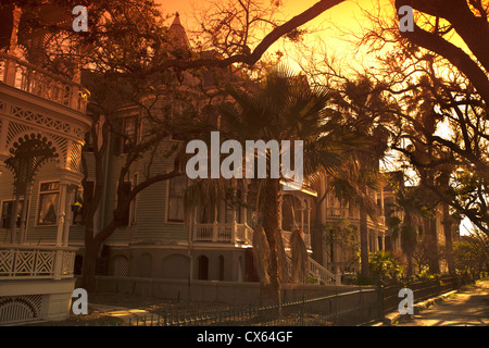 HÄUSER SEALY AVENUE GALVESTON ISLAND TEXAS USA Stockfoto