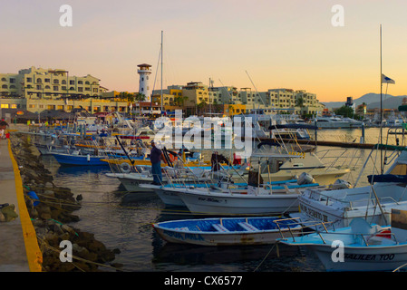 Marina, Cabo San Lucas, Baja, Mexiko Stockfoto