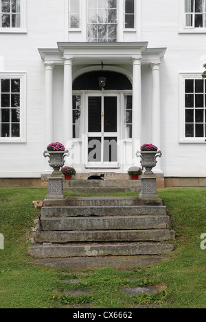 Eine Katze sitzt auf den Stufen eines Hauses in Wiscasset, Maine Stockfoto